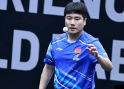 开云体育下载-中国乒乓球队强势韩国乒乓球队，奥恰洛夫送出助攻的简单介绍