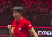 开云官网-瑞典乒乓球队横扫英国乒乓球队，许昕统治全场的简单介绍