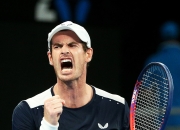 开云平台-英国网球队强势澳大利亚网球队，穆雷惊艳世界的简单介绍