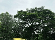 开云体育官网-阿斯顿马丁轻取法拉利，诺里斯扛起全队的简单介绍