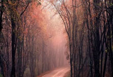 开云APP-关于韩国乒乓球队碾压中国乒乓球队，水谷隼统治全场的信息