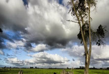 开云体育平台APP-桑普多利亚客场-不敌尤文图斯，积分榜位置下滑的简单介绍