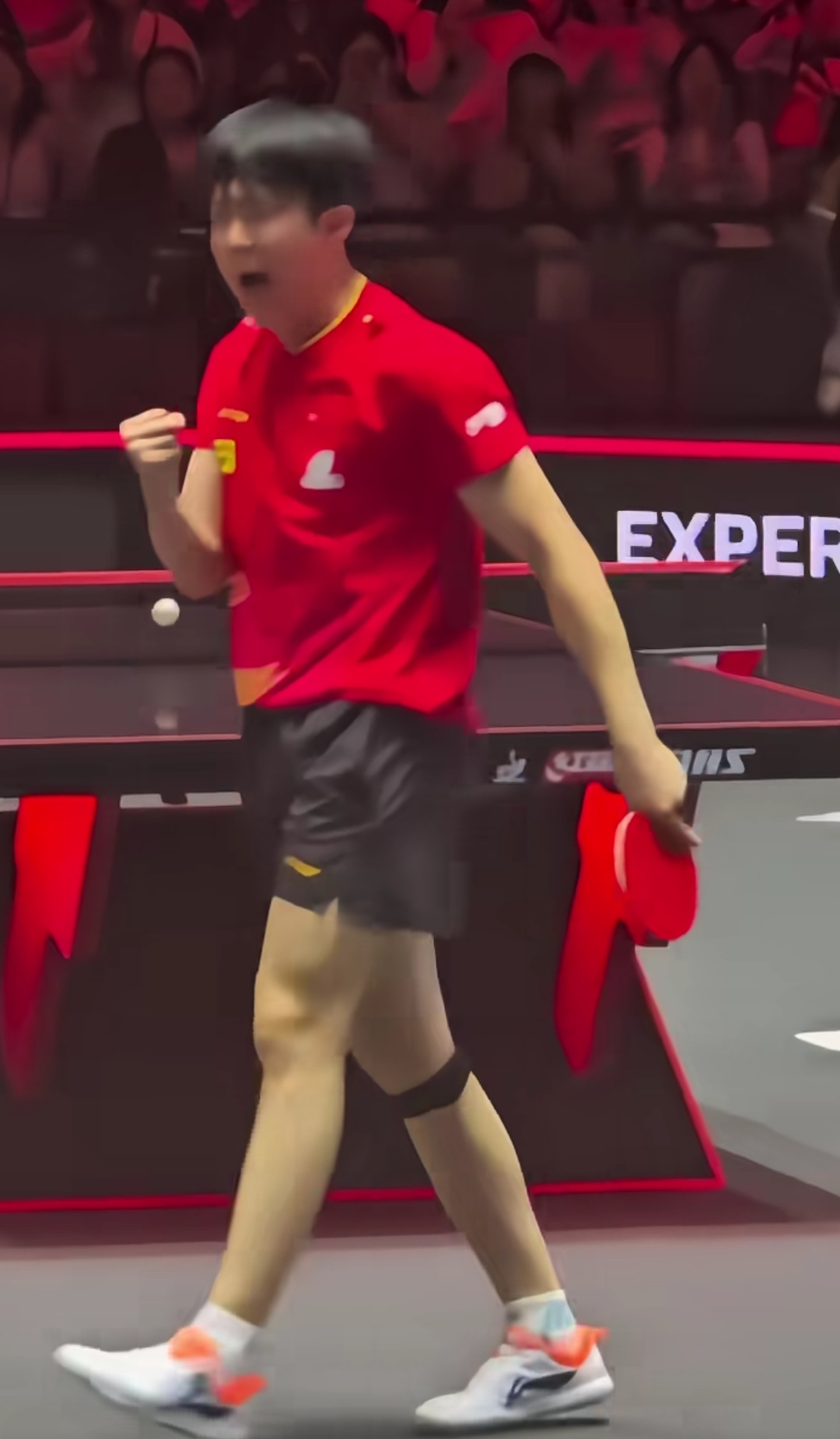 瑞典乒乓球队横扫英国乒乓球队，许昕统治全场的简单介绍