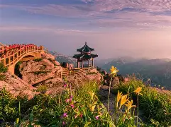 山东鲁能逆袭成功,持续发力追赶 山东鲁能逆袭成功,持续发力追赶