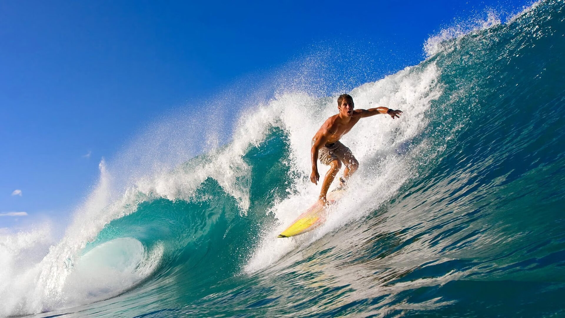 绝对统治与不灭激情，威廉姆斯碾压红牛，阿隆索点燃赛场之夜